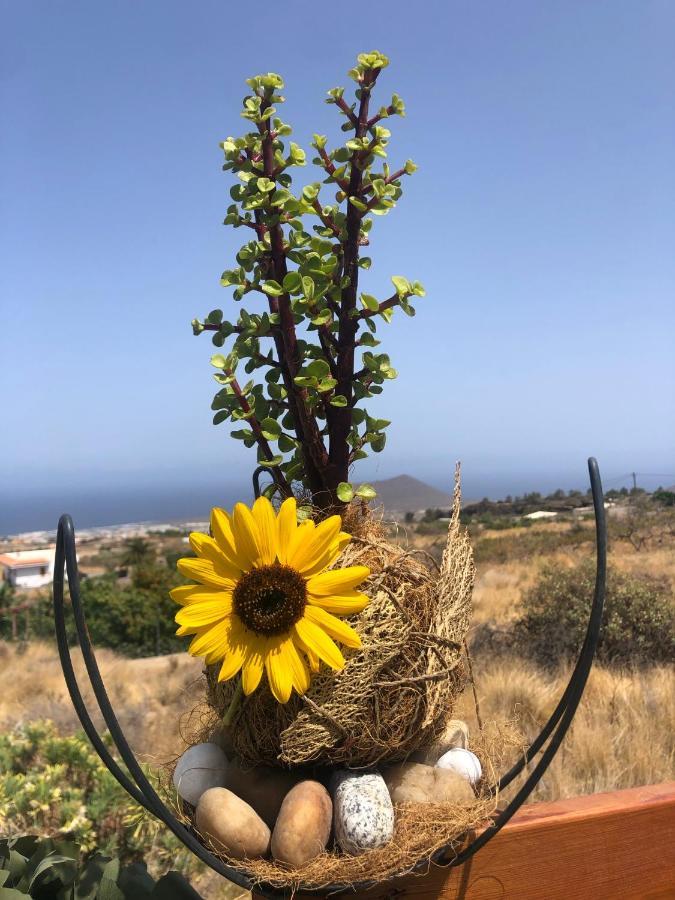 Afrikan Krisant Tenerife, Casa Rural Ecologica Arafo Buitenkant foto