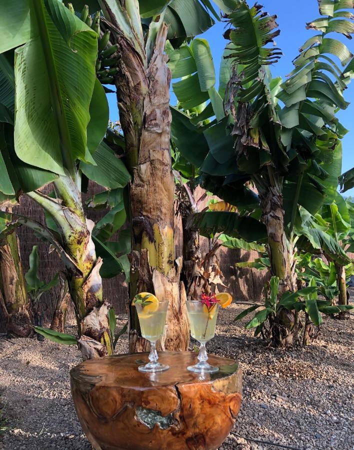 Afrikan Krisant Tenerife, Casa Rural Ecologica Arafo Buitenkant foto