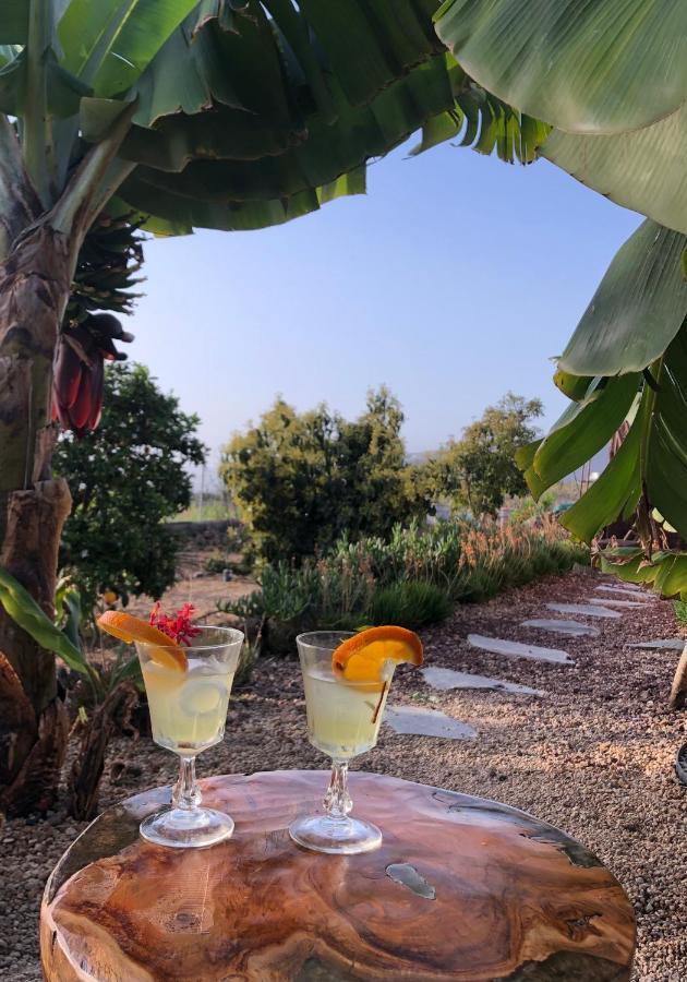 Afrikan Krisant Tenerife, Casa Rural Ecologica Arafo Buitenkant foto