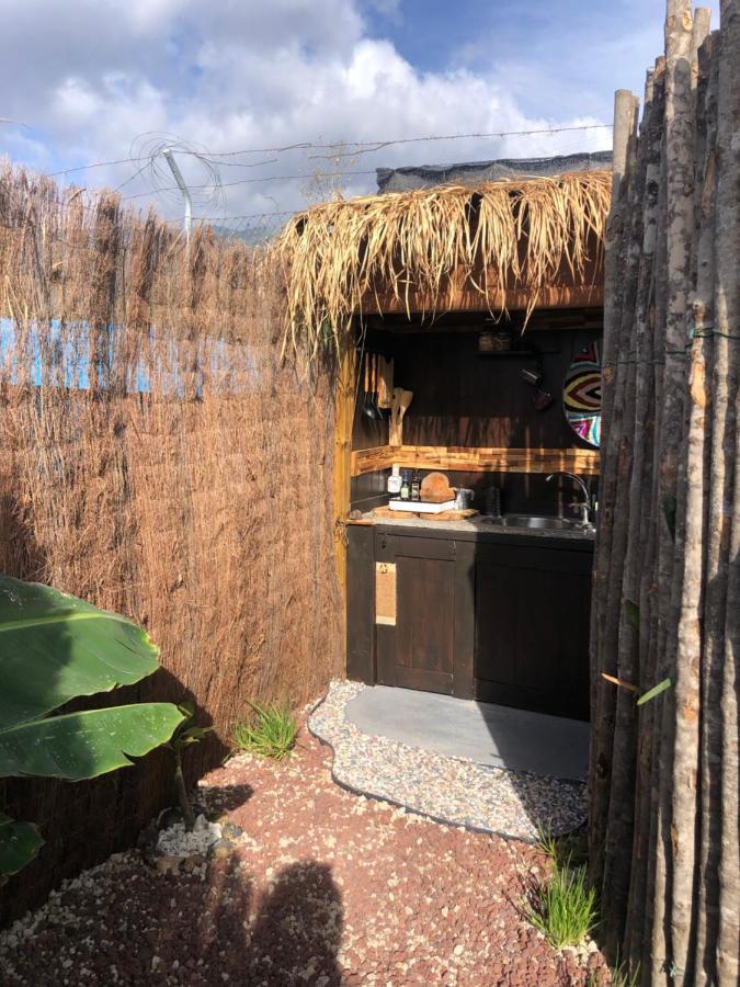 Afrikan Krisant Tenerife, Casa Rural Ecologica Arafo Buitenkant foto