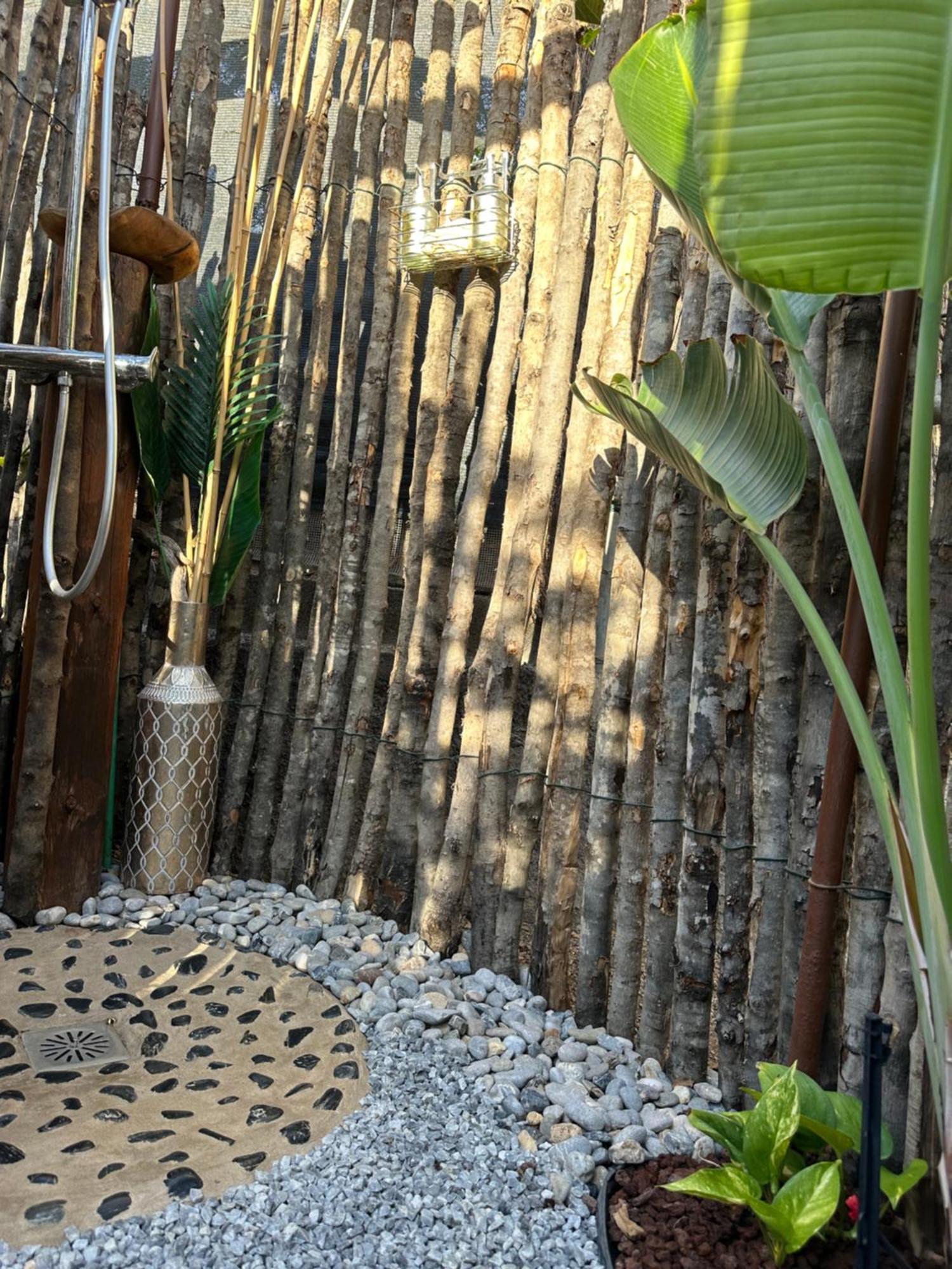 Afrikan Krisant Tenerife, Casa Rural Ecologica Arafo Buitenkant foto