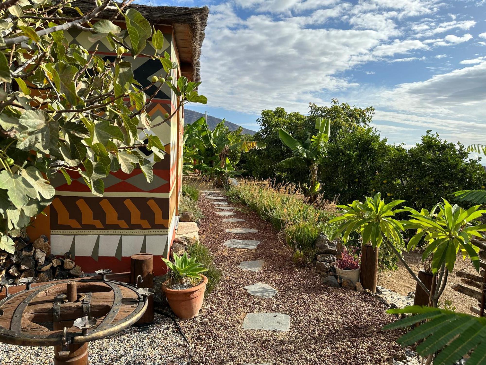 Afrikan Krisant Tenerife, Casa Rural Ecologica Arafo Buitenkant foto